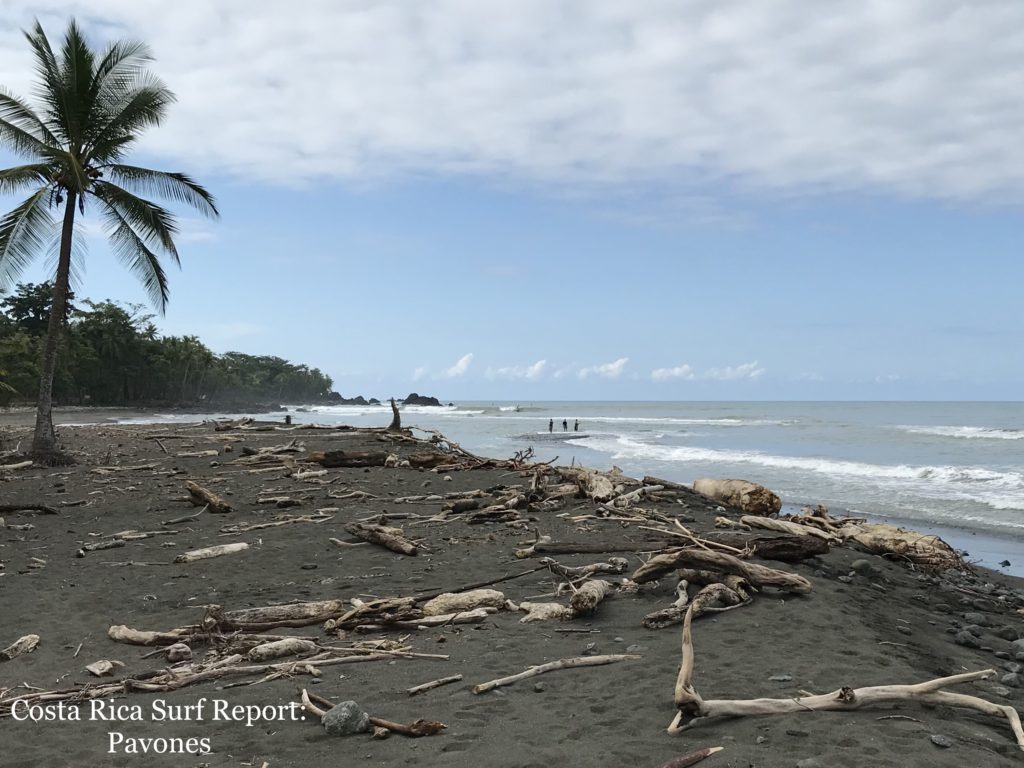 Playa Pavones | Costa Rica Surf: The Costa Rica Surfing Travel Directory